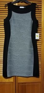 Sleeveless sillouette dress